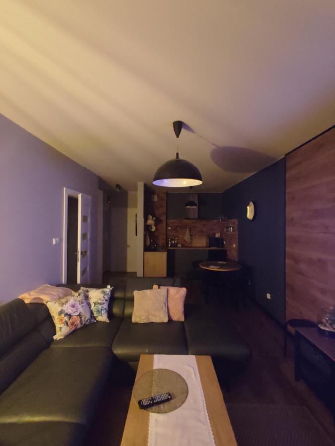 Lux Apartament Odkryj - Bieszczady Ustrzyki Dolne Ngoại thất bức ảnh